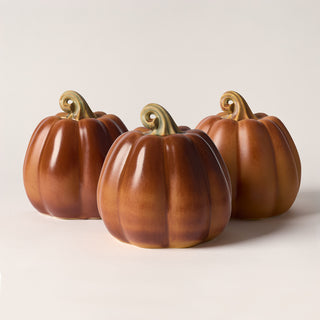 Large Pumpkin, Marmalade