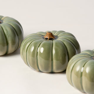 Small Pumpkin, Silver Sage
