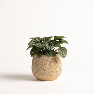 Hand-Thrown Planter No. 8
