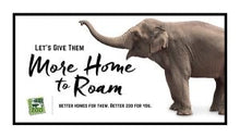 Load image into Gallery viewer, Elephant Bookend Set- Cincinnati Zoo More Home to Roam- Sabu
