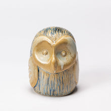 Load image into Gallery viewer, Hand Thrown Autumn&#39;s Bounty Owl #37
