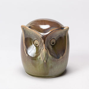Hand Thrown Autumn's Bounty Owl #39
