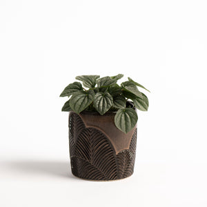 Hand-Thrown Planter No. 34