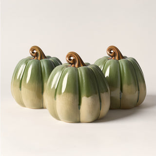 Large Pumpkin, Silver Sage