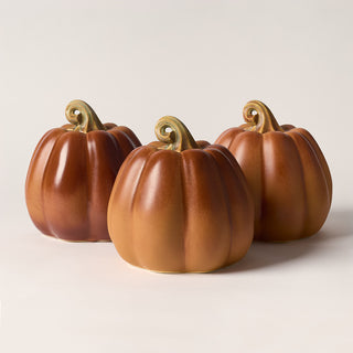 Pumpkin Duo, Marmalade