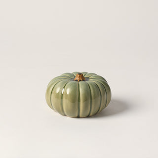 Small Pumpkin, Silver Sage