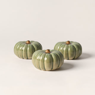 Small Pumpkin, Silver Sage