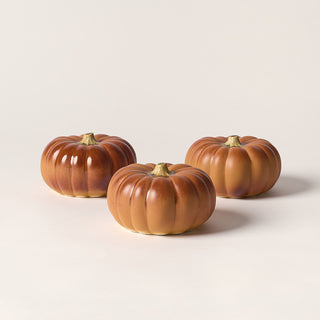 Small Pumpkin, Marmalade