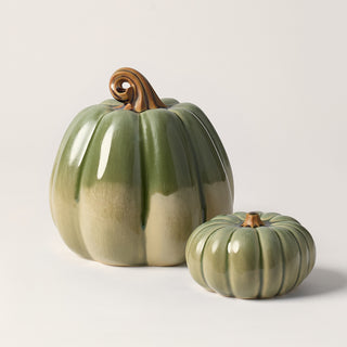 Pumpkin Duo, Silver Sage