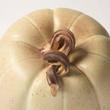 Load image into Gallery viewer, Hand-Thrown Pumpkin No. 2
