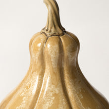 Load image into Gallery viewer, Hand-Thrown Pumpkin No. 24
