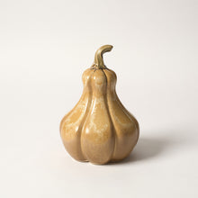 Load image into Gallery viewer, Hand-Thrown Pumpkin No. 24
