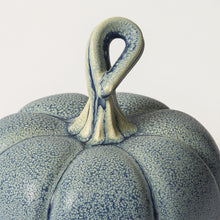 Load image into Gallery viewer, Hand-Thrown Pumpkin No. 65
