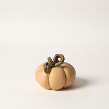 Load image into Gallery viewer, Hand-Thrown Pumpkin No. 103
