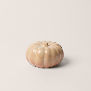Small Pumpkin, Mimosa