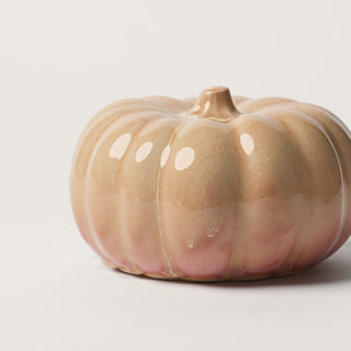 Small Pumpkin, Mimosa