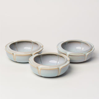 Large Flower Dish, Cafe