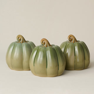 Large Pumpkin, Silver Sage