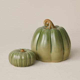 Pumpkin Duo, Silver Sage