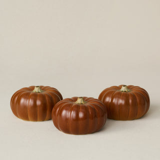 Small Pumpkin, Marmalade