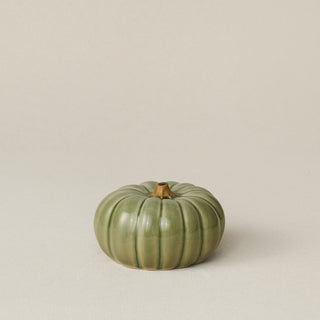 Small Pumpkin, Silver Sage