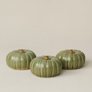Small Pumpkin, Silver Sage