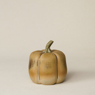 Pumpkin No. 14