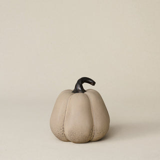 Pumpkin No. 104