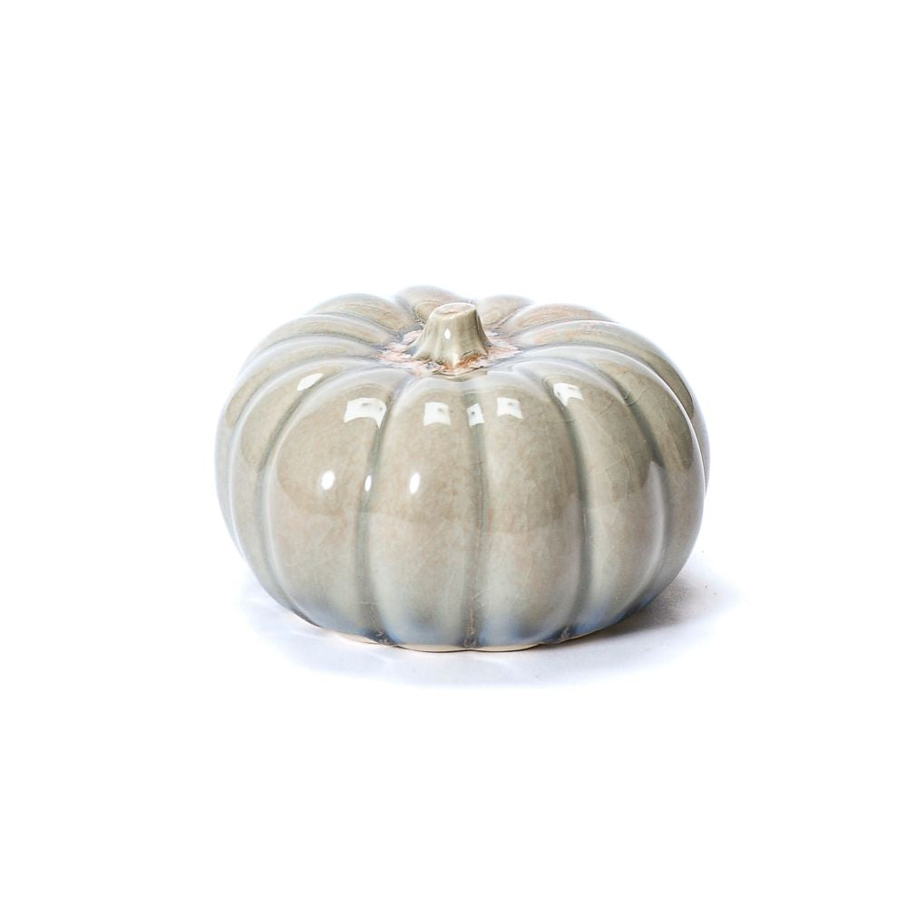 Mini Pumpkin, Angora