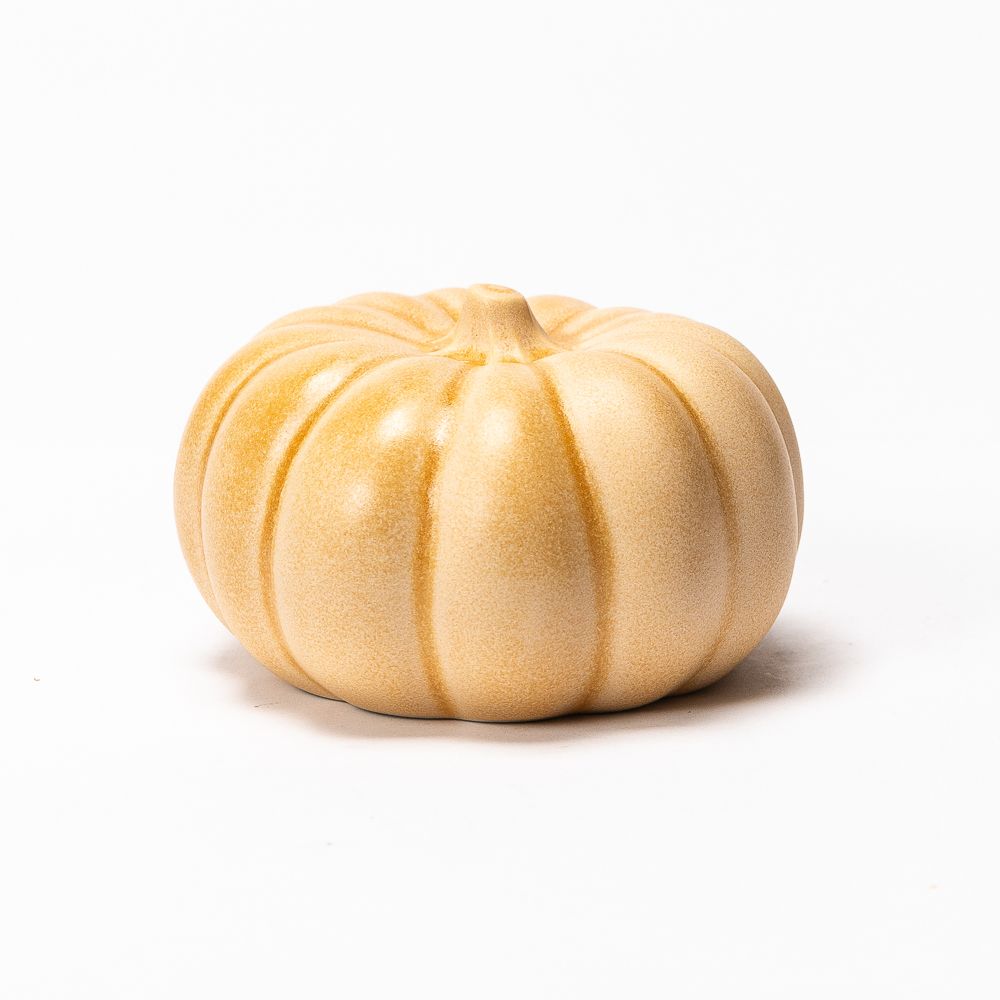 Mini Pumpkin - Dandelion