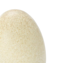 Load image into Gallery viewer, Hand Crafted Medium Egg #292
