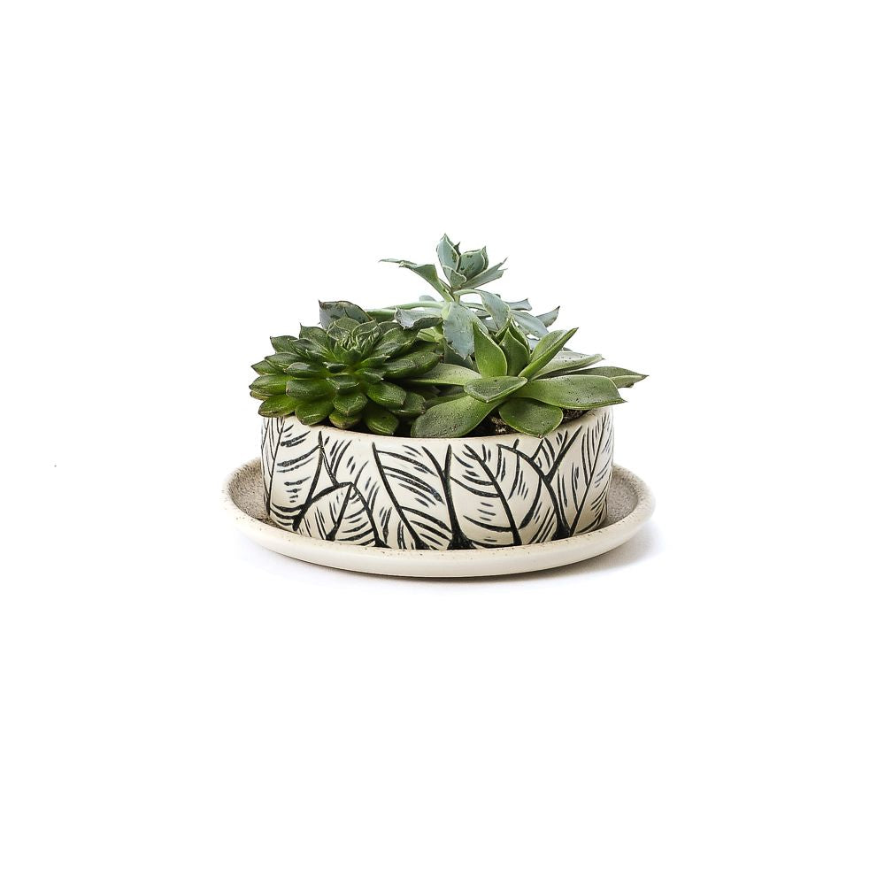 #164 Flowerpot | Hand Thrown Vessel Collection