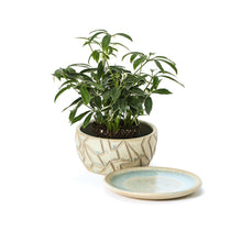 Load image into Gallery viewer, #125 Flowerpot | Hand Thrown Vessel Collection
