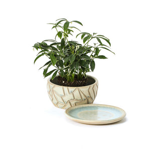 #125 Flowerpot | Hand Thrown Vessel Collection