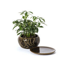 Load image into Gallery viewer, Hand-Thrown Planter No. 128
