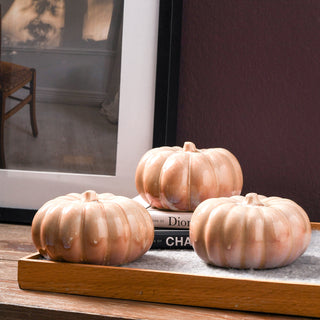 Small Pumpkin, Mimosa
