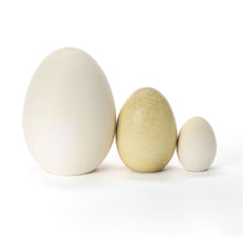 Load image into Gallery viewer, Hand Crafted Medium Egg #292
