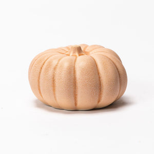 Mini Pumpkin - Butternut