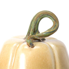 Load image into Gallery viewer, Hand Thrown Pumpkin #032
