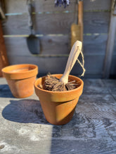 Load image into Gallery viewer, Plant Pot Cleaning Brush
