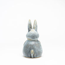 Load image into Gallery viewer, Hand-Thrown Bunny, No. 043
