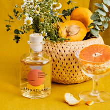 Load image into Gallery viewer, PARASOL Citrus Champagne Vinegar
