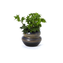 Load image into Gallery viewer, Hand-Thrown Planter No. 162
