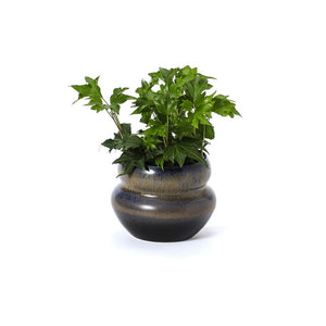 #162 Flowerpot | Hand Thrown Vessel Collection