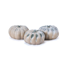 Load image into Gallery viewer, Mini Pumpkin, Lavender Mist
