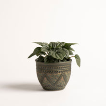 Load image into Gallery viewer, Hand-Thrown Planter No. 6
