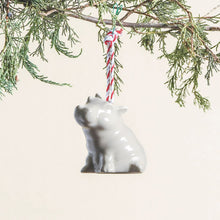 Load image into Gallery viewer, Holiday Hippo Ornament (Assorted Ribbon)
