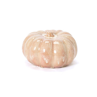 Small Pumpkin, Mimosa