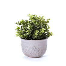 Load image into Gallery viewer, Hand-Thrown Planter No. 20
