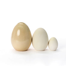 Load image into Gallery viewer, Hand Crafted Large Egg #245
